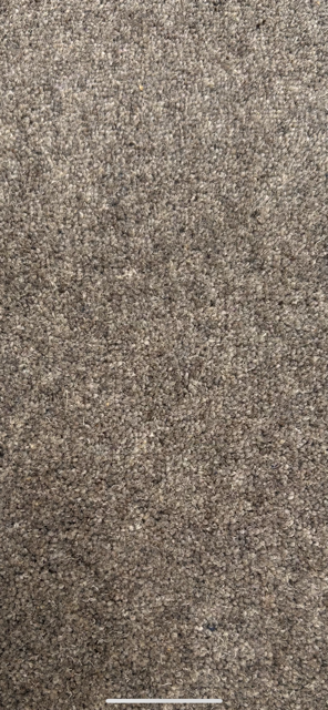 >PURE BRIT GREYSTEAD